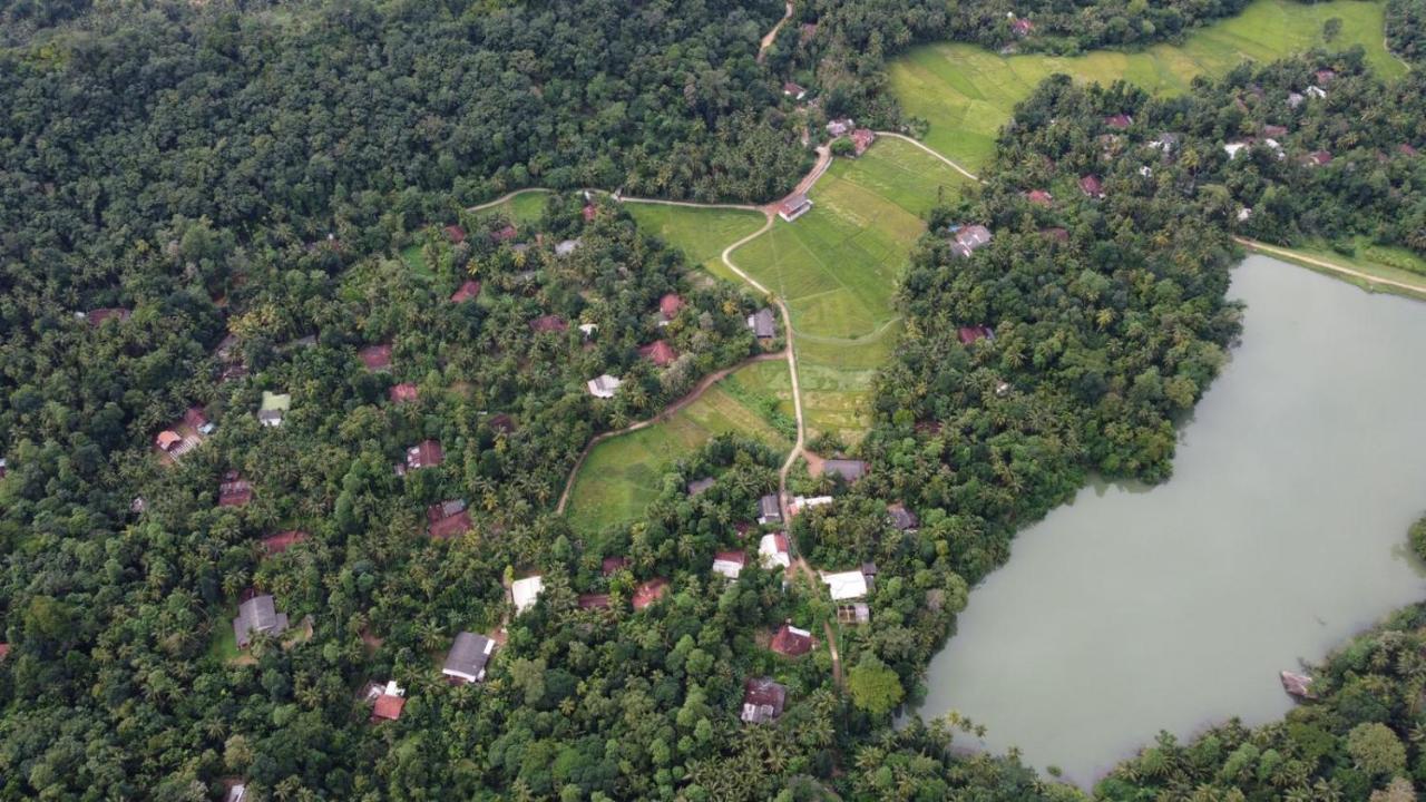 Coconut Escapes Villa Kurunegala Eksteriør billede