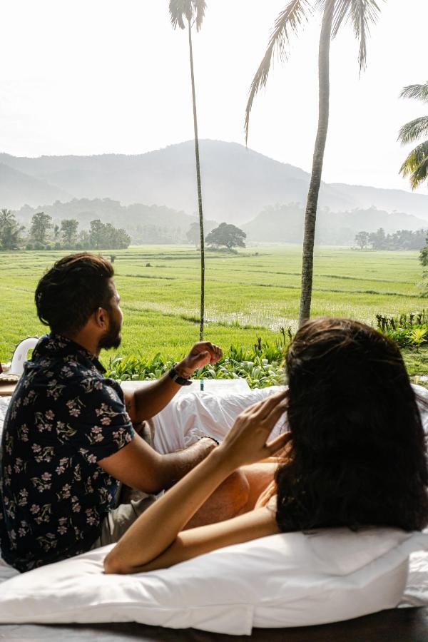 Coconut Escapes Villa Kurunegala Eksteriør billede