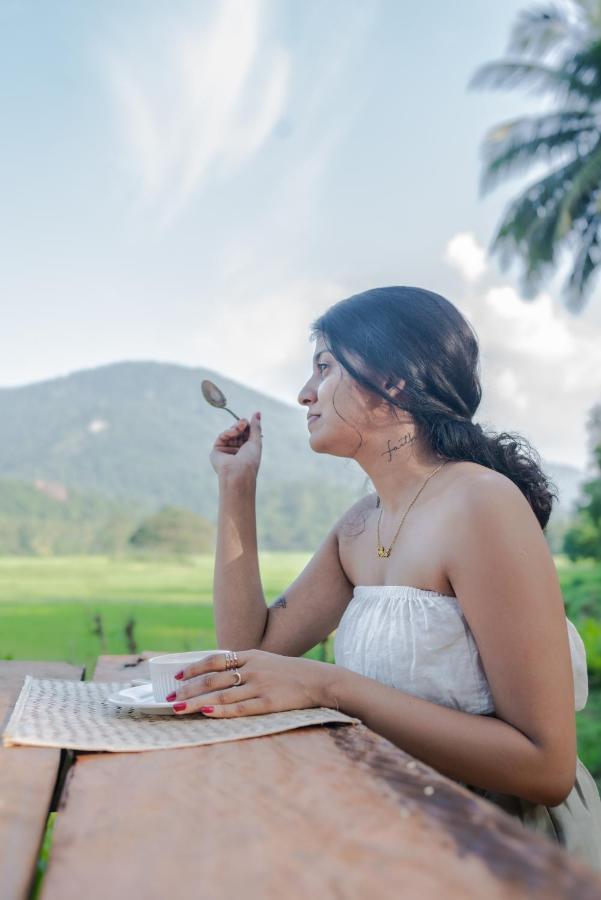 Coconut Escapes Villa Kurunegala Eksteriør billede